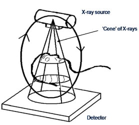 Cone beam CT technology